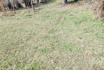 Teren de 958 mp, în Lelese - 2
