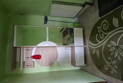 Casa cu lac in comuna Acas jud Saru Mare - 3