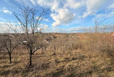 Teren în Timișoara - 11