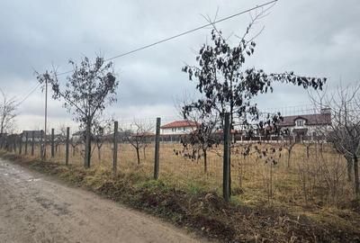 Valea ursului, teren intravilan de la margine de padure 600mp - 1
