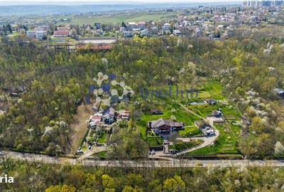 Spațiu comercial, în Copou - 1