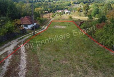 Teren de 2250 mp, în Ioanicești - 5