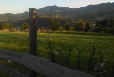 Teren intravilan 5360mp Bistrita Nasaud | Tiha Bargaului - 4