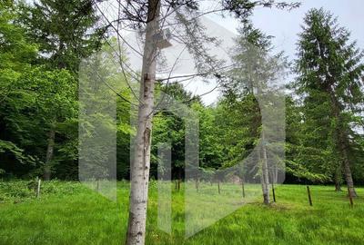 Spațiu comercial, în Porumbacu de Sus - 2