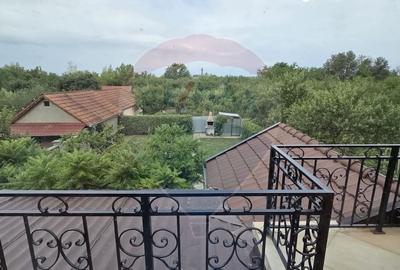 Casa de vis cu 4 dormitoare intr-o zona linistita din Salonta - 13