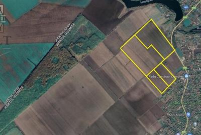 Teren Intravilan 330.000 MP Pretabil Parc Fotovoltaic DN 2 Lilieci - 1