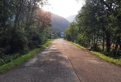 Teren  Câmpul lui Neag, Cheile Butii - 2