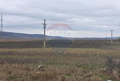 Teren agricol extravilan de 41025 mp, în Periferie - 3