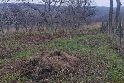 Casă cu 2 camere în Hilița - 6