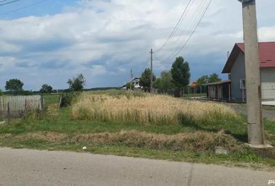 Teren de 3960 mp, în Crucișoara - 4