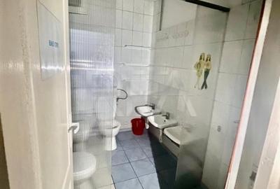 Vila individuala 8 camere  Parcul Carol - 7