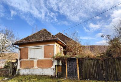 Casă cu 3 camere cu Teren 2000 Mp în Laslău Mare - 5