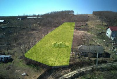 Teren Construcții intravilan de 2260 mp, în Rusenii Vechi - 2