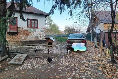 Teren, 1665 mp, casa veche, Mioveni - 2