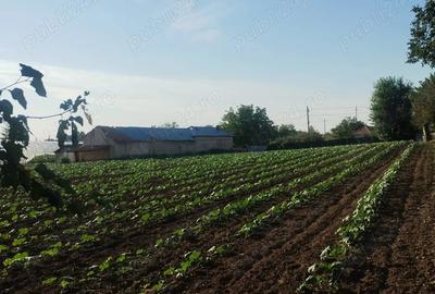 Casă cu 5 camere în Bragadiru - 9