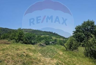 Teren  intravilan  de vanzare Oras  Saliste  Strada Livezii Jud. Sibiu