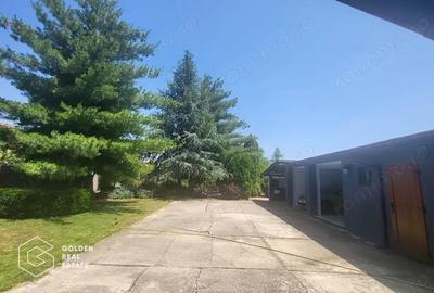 Vila cu potential in Chisoda - 14