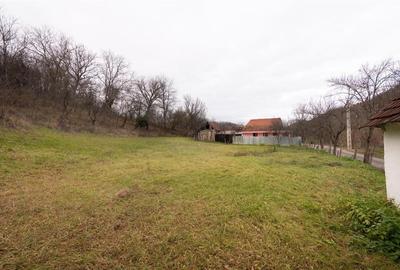 RECO Casa de vacanta la Holod- langa padure- teren 2190mp - 30