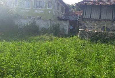 Casa batraneasca+teren de vanzare in sat Radosi,comuna Crasna,judetul Gorj - 3