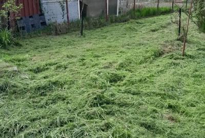 Casă cu 7 camere cu Teren 700 Mp în Central - 2