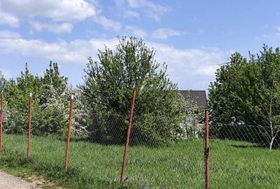 Spațiu comercial, în Alexandru cel Bun - 2