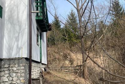 Casă cu Teren 800 Mp în Dâmbovicioara - 3