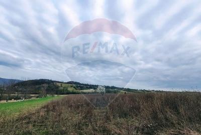 Teren agricol extravilan de 5240 mp, în Berchezoaia - 2