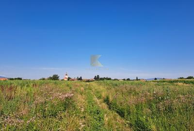 Posibilitate RATE | Teren Bod | curti constructii | utilitati | PUZ, - 13