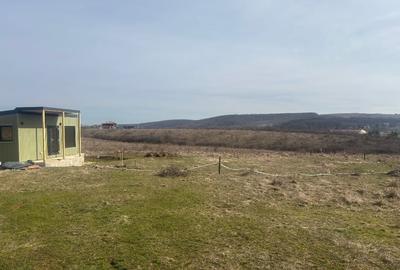 Teren Construcții intravilan de 802 mp, în Pișchia - 6