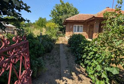 Casa de vanzare (curte 1900mp) Dragoe?ti, jud. Ialomi?a (40-50 km de Bucure?ti) - 5