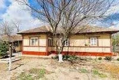 Casă cu Teren 931 Mp în Gheorghe Doja - 3