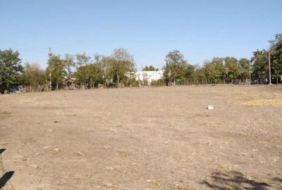 Spațiu comercial, în Băleni - 1