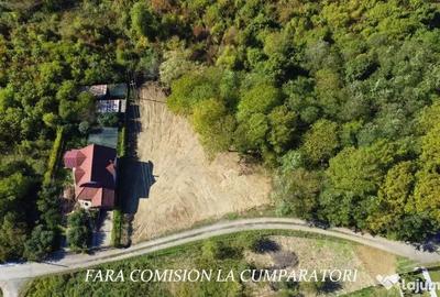 Teren de 1522 mp, în Vlădești - 13