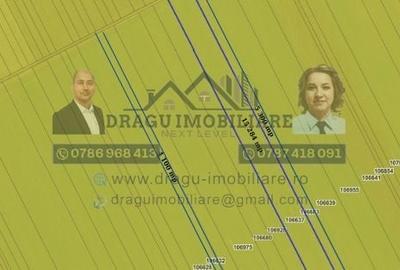 Teren agricol extravilan de 75000 mp, în Munteni - 1
