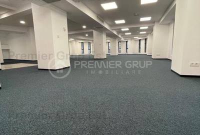 Spațiu comercial, de 255 mp, în Nicolina - 6