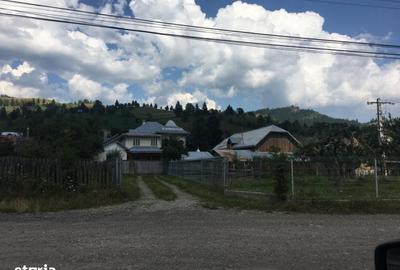 Teren de 10000 mp, în Sadova