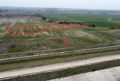 Teren agricol extravilan de 5800 mp, în Cornetu - 3
