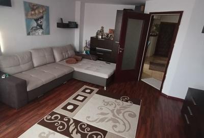 Apartament cu 2 camere, mobilat în Bucovina