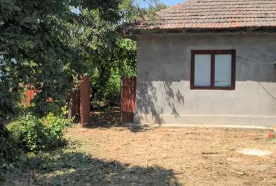 Casă cu 4 camere cu Teren 700 Mp în Ograda