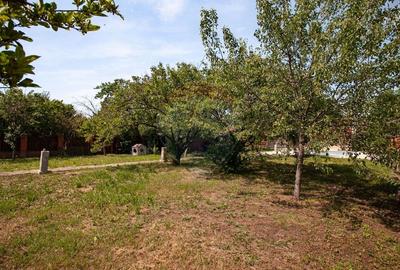 Casa cu 2 corpuri, piscina si 3.235 mp teren in Ghioroc - 39