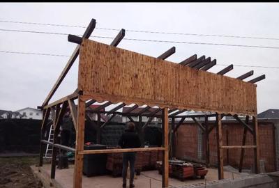 25 km de Brasov , 60 m2 constructii , 12 000 m2 - 1