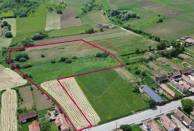 Teren de vanzare Blajel, jud. Sibiu | 15.360 mp - p... - 10