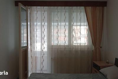 Apartament cu 2 camere decomandat, mobilat în Brazda lui Novac - 3