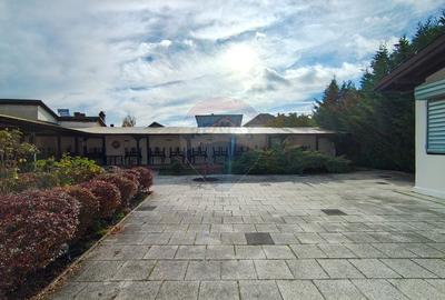 Două vile de patrimoniu, restaurate integral, cu farmec interbelic - 35