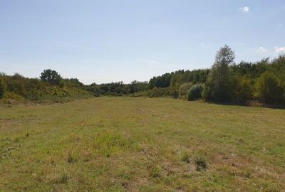 Spațiu comercial, în Plopu - 5