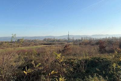 Teren de 18532 mp, în Gurasada - 1