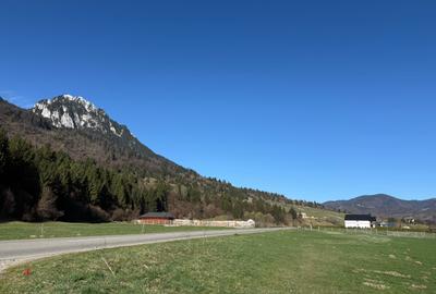 Teren Construcții intravilan de 1269 mp, în Plaiul Foii - 1