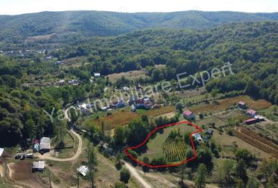 Teren de 3565 mp, în Tutana - 3