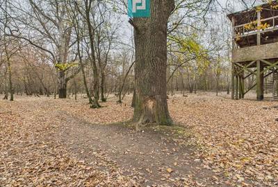 Teren spectaculos la  Periam Port - 10