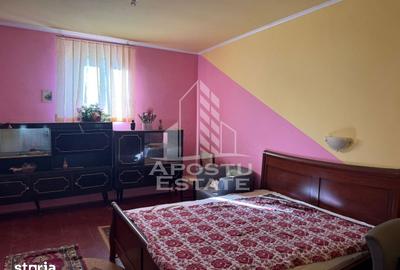 Casă cu 4 camere cu Teren 1522 Mp în Traian Vuia - 1